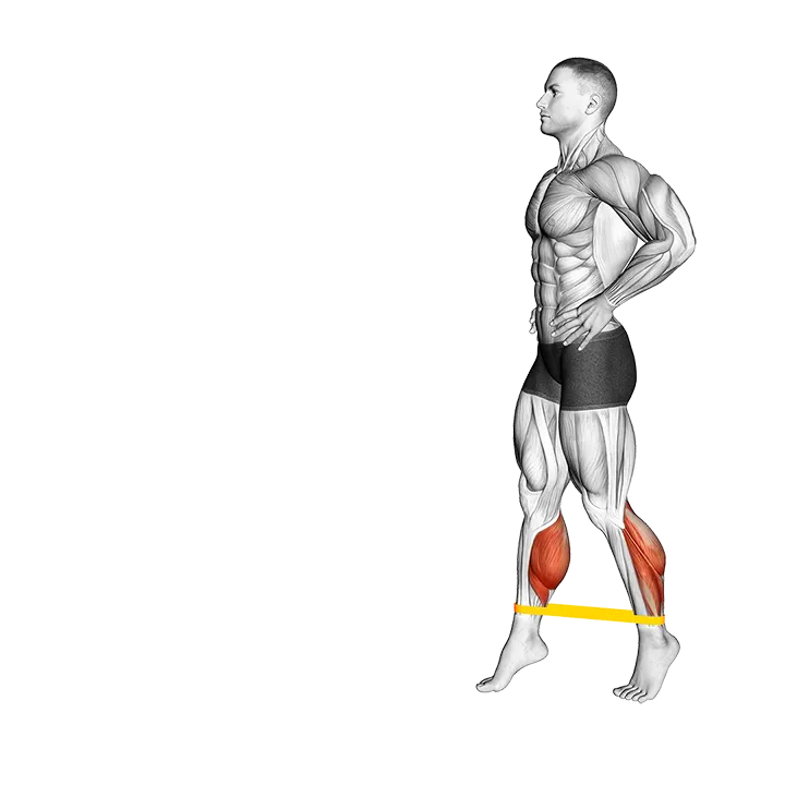Resistance Band Toe Walk exercise animation (Male)