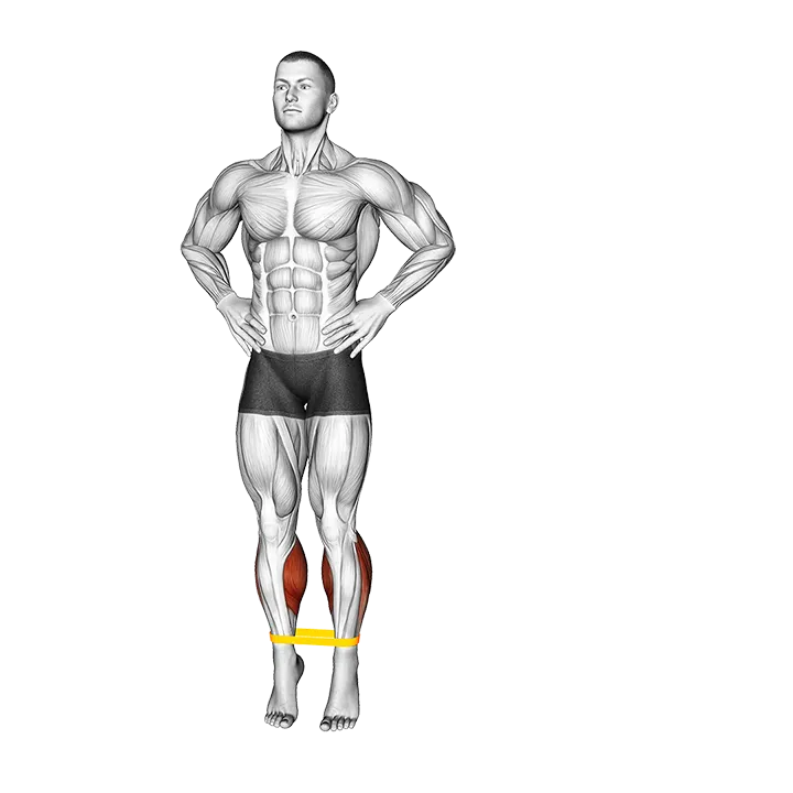 Resistance Band Toe Side Walk exercise animation (Male)