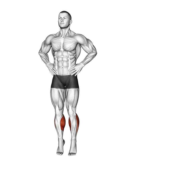 Toe Side Walk exercise animation (Male)