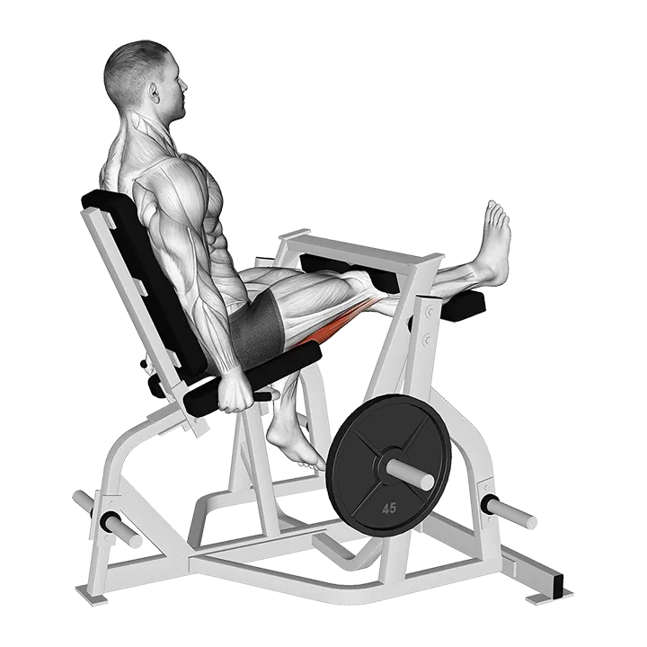Lever Seated Single Leg Curl (plate loaded) exercise animation (Male)