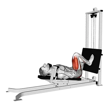 Sled Lying Single Leg Squat