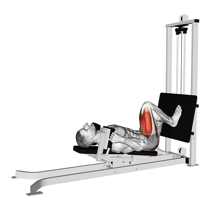 Sled Lying Single Leg Squat exercise animation (Male)