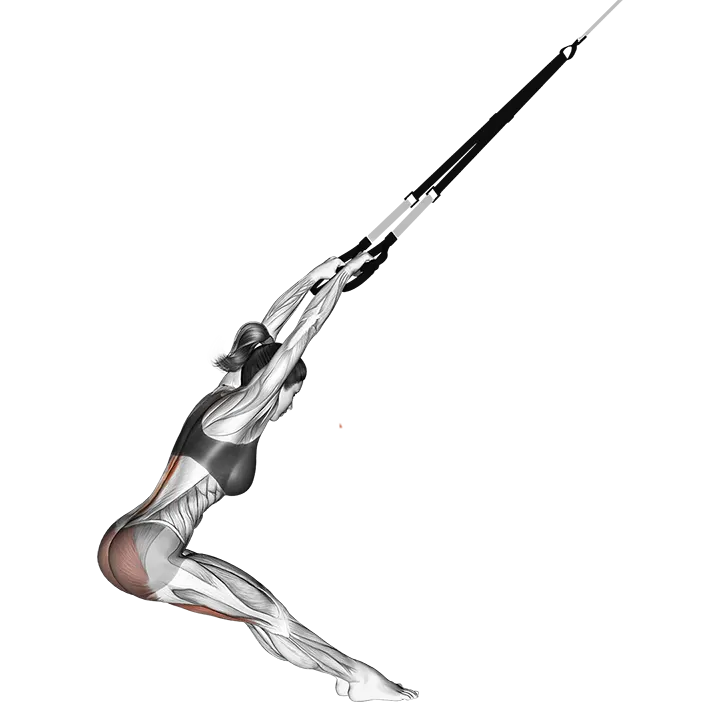 Suspension Hyperextension exercise animation (Female)
