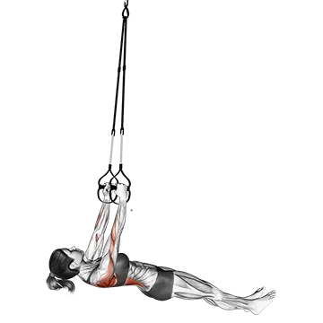 Suspension Inverted Row