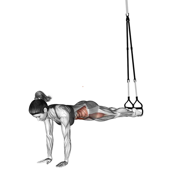 Suspension Jack knife Pike exercise animation (Female)