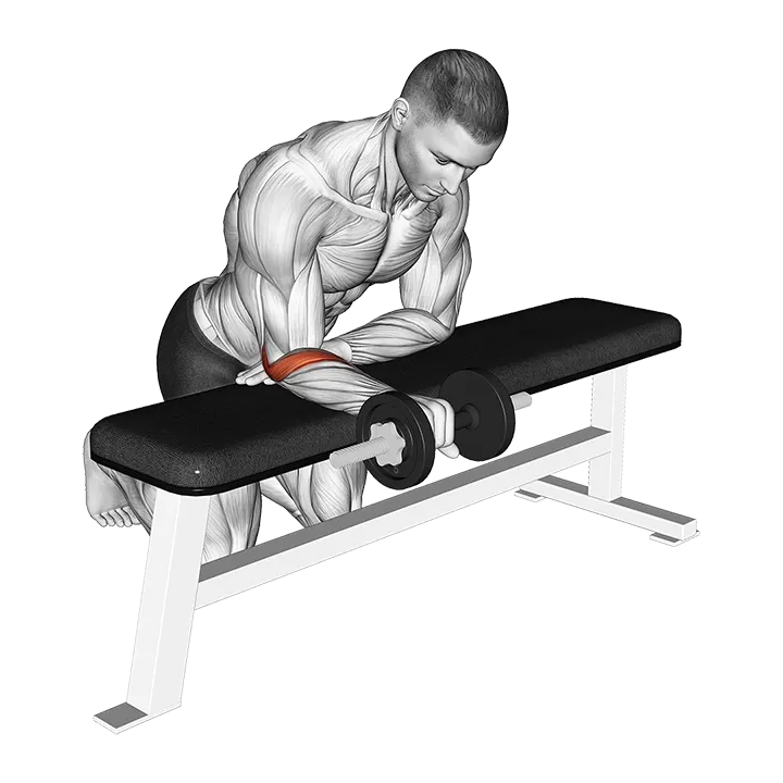 Dumbbell Wrist Rotation exercise animation (Male)