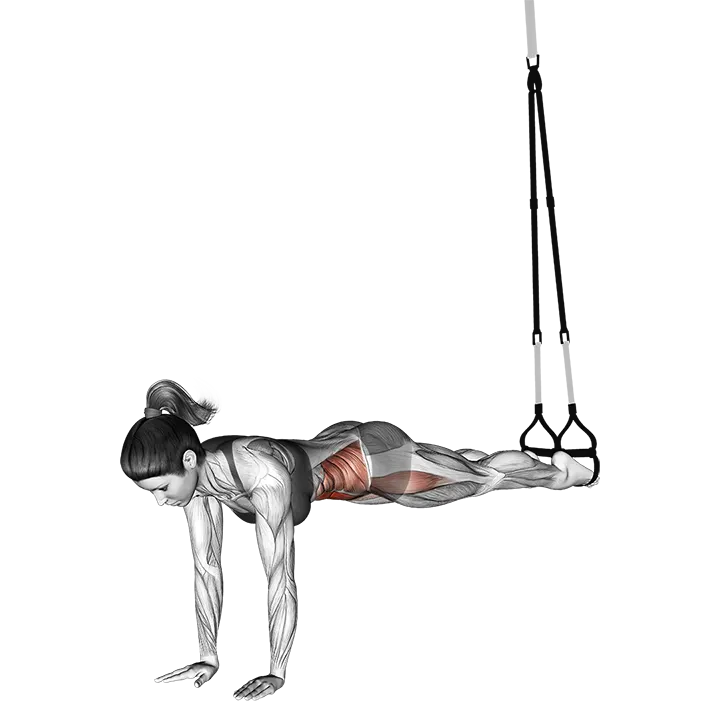 Suspension Jack knife exercise animation (Female)