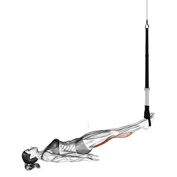 Suspension Leg Curl