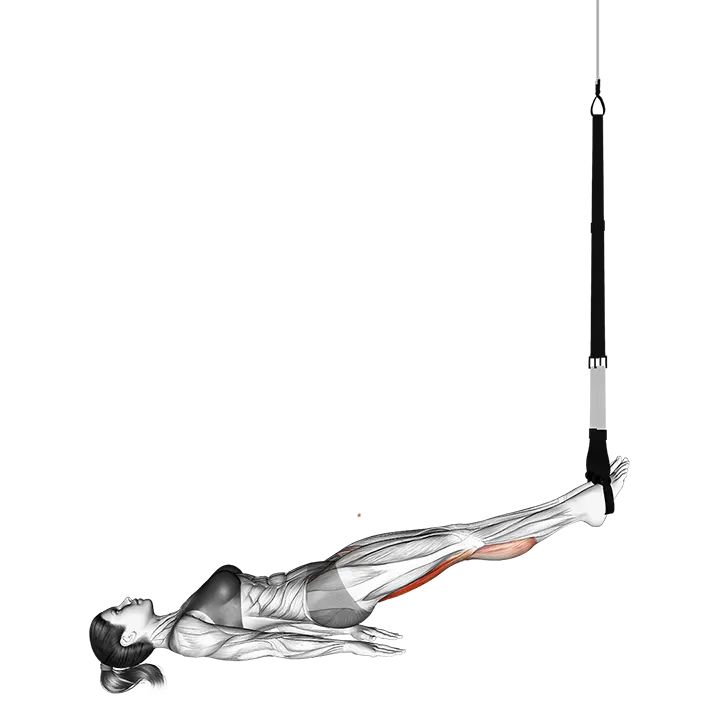 Suspension Leg Curl exercise animation (Weiblich)