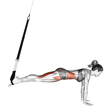 Suspension Mountain Climber