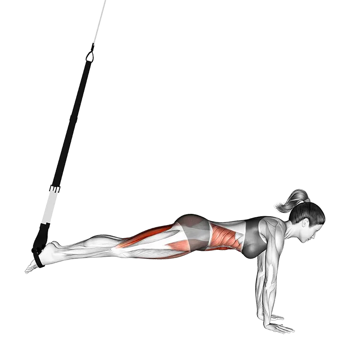 Suspension Mountain Climber exercise animation (Mujer)