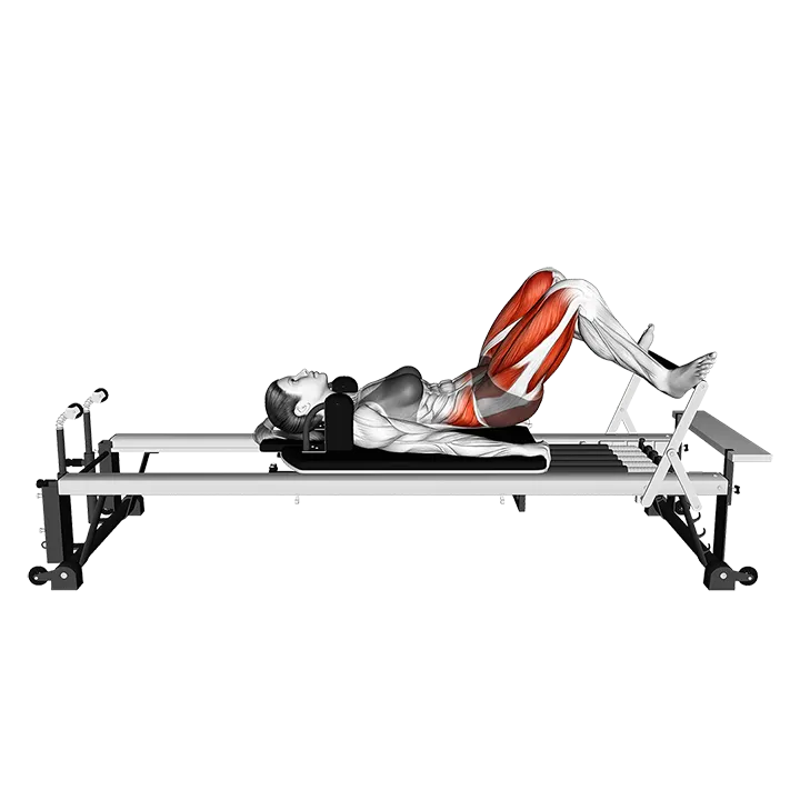 Pilates Machine Lying Pelvic Lift exercise animation (Female)