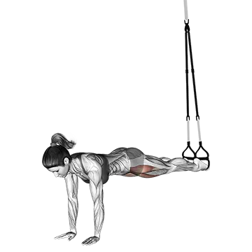 Suspension Pike