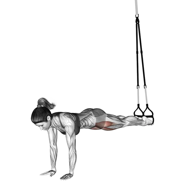 Suspension Pike exercise animation (Female)