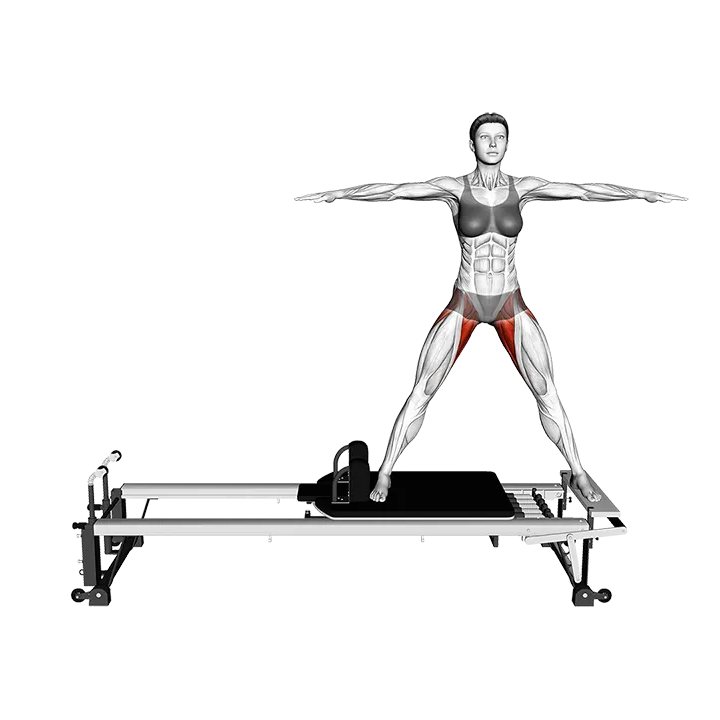 Pilates Machine Side Split exercise animation (Female)