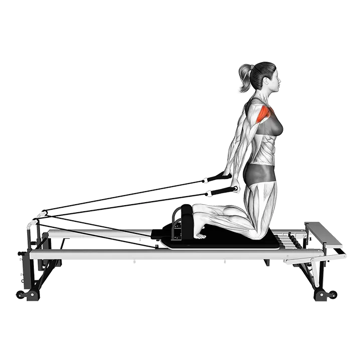 Pilates Machine Arm Circle exercise animation (Female)