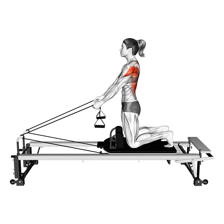 Pilates Machine Chest Expansion exercise animation (Female)
