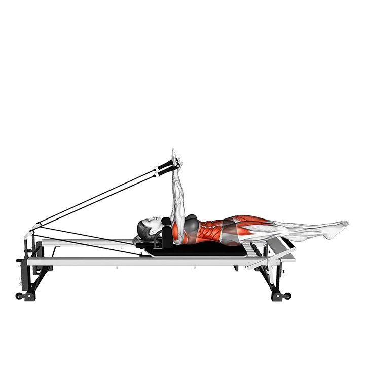 Pilates Machine Overhead exercise animation (Female)