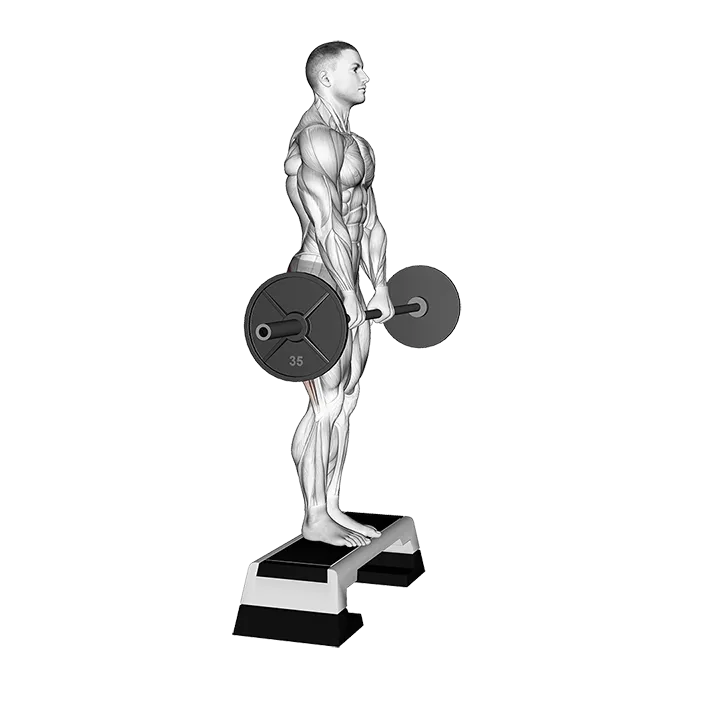 Barbell Jefferson Curl exercise animation (Male)