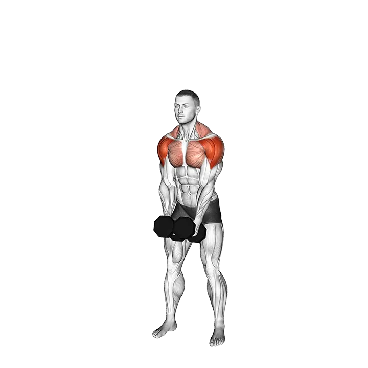Dumbbell LU Raise exercise animation (Male)