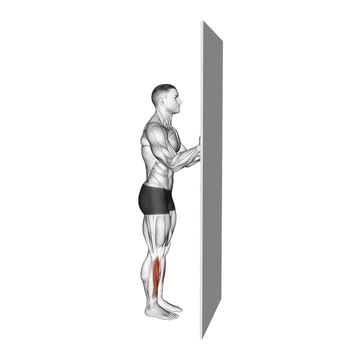 Standing Floor Tibialis Raise Wall Supported exercise animation (Male)