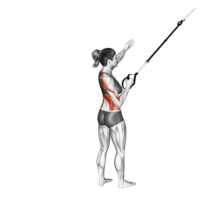 Suspension Power Pull exercise animation (Female)