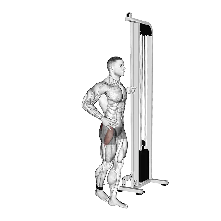 Cable Side Leg Kick from Back exercise animation (Male)