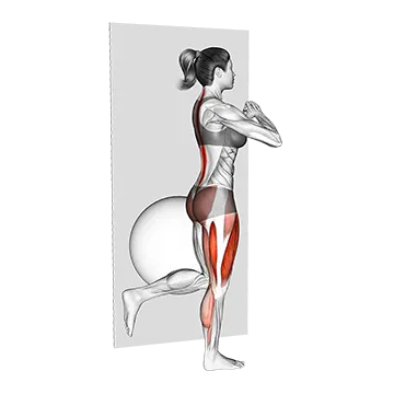 Bodyweight Single Leg Deadlift against Ball