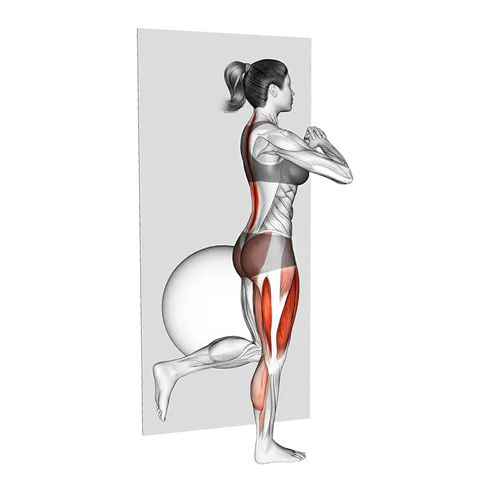 Bodyweight Single Leg Deadlift against Ball exercise animation (Female)