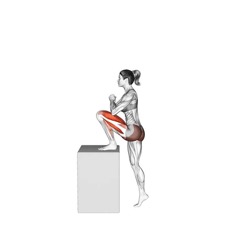 High Box Step-up exercise animation (Female)