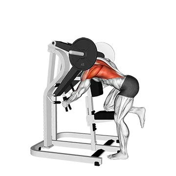 Lever Bent Over Single Arm Lats Focused Row