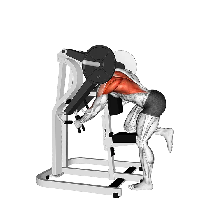 Lever Bent Over Single Arm Lats Focused Row exercise animation (Male)