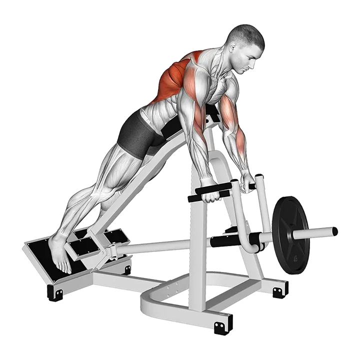 Lever Incline Prone Neutral Grip Row exercise animation (Male)