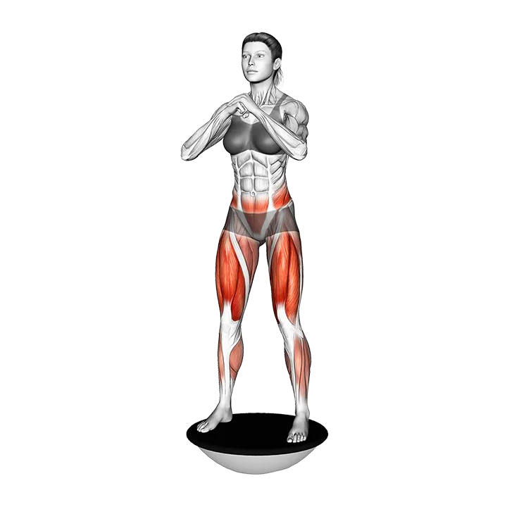 Bosu Ball Squat exercise animation (Mujer)