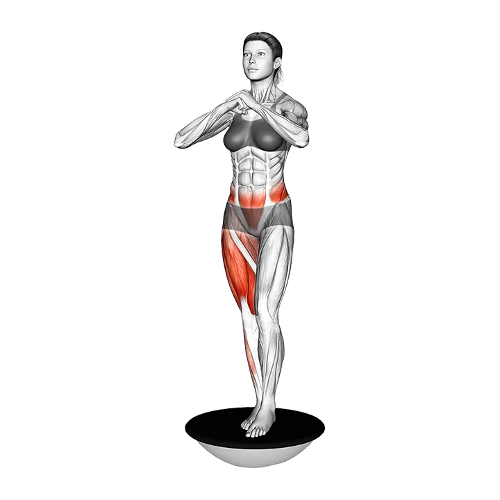 Bosu Ball Single Leg Squat exercise animation (Female)