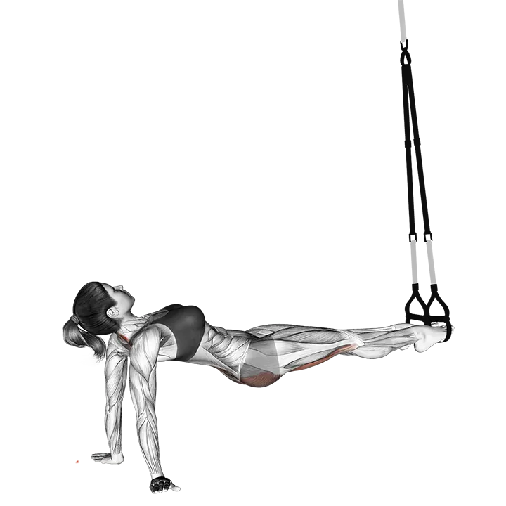 Suspension Pull Through exercise animation (Female)