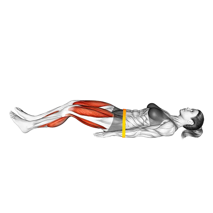 Resistance Band Glute Bridge Walk exercise animation (Female)
