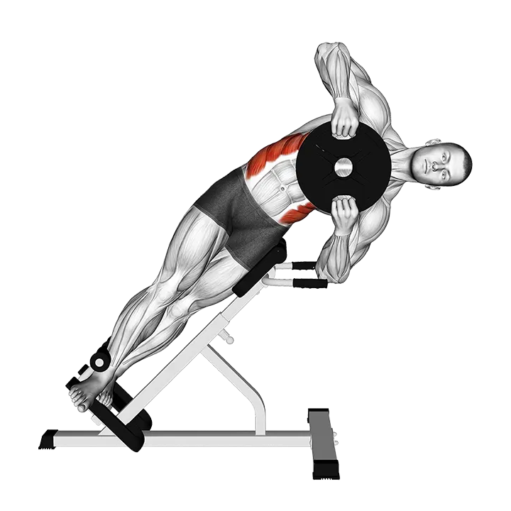 Weighted Plate 45 degrees Side Bend exercise animation (Male)
