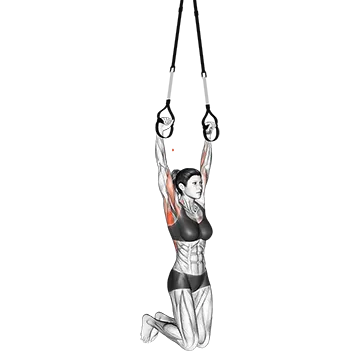 Suspension Pull-up