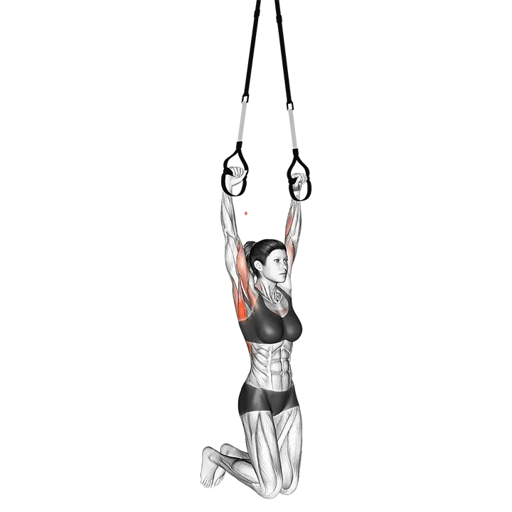 Suspension Pull-up exercise animation (Female)