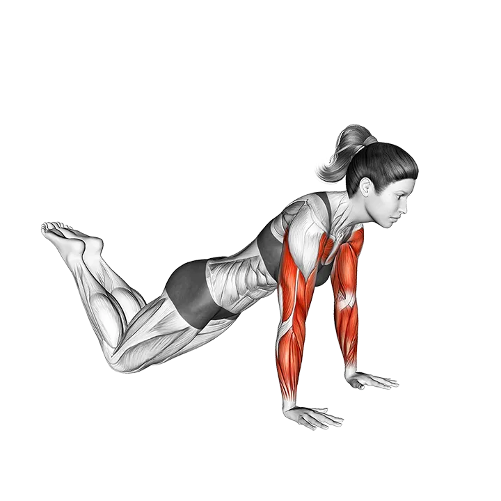Kneeling Plyo Push-up exercise animation (Female)
