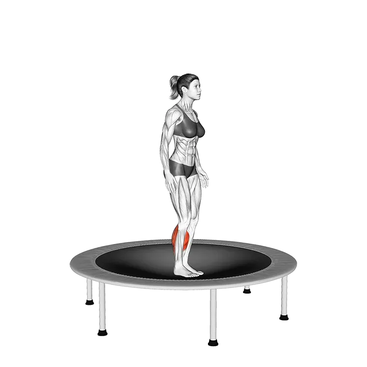 Elastic Bed Toe Jump exercise animation (Female)