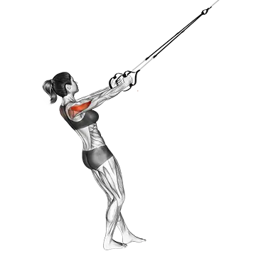 Suspension Reverse Fly
