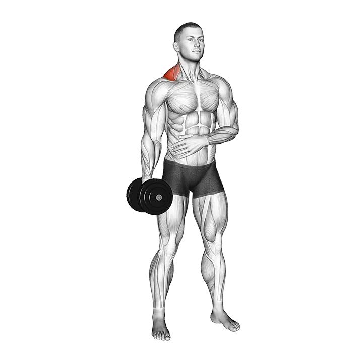 Dumbbell Single Arm Shrug exercise animation (Male)