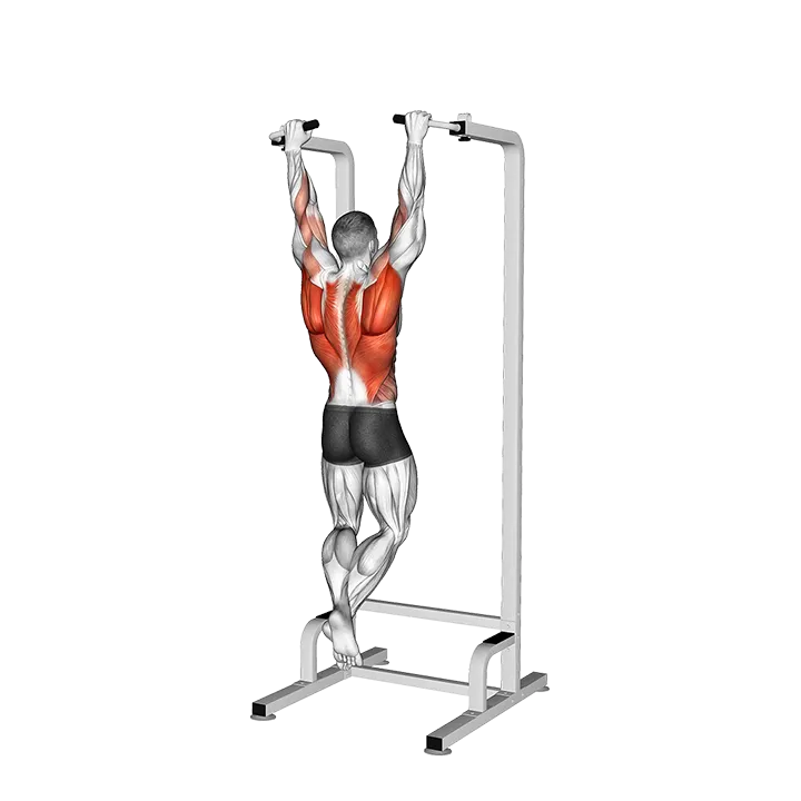 Eccentric Single Arm Pull-up exercise animation (Male)