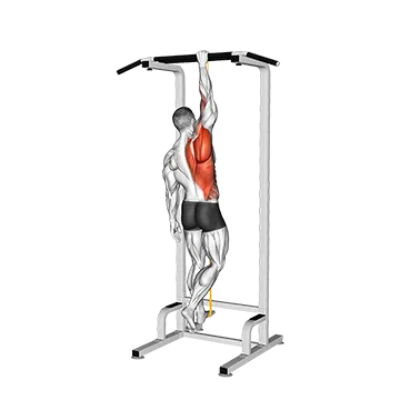 Resistance Band Assisted Single Arm Pull-up (VERSION 2)