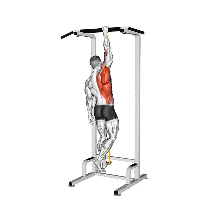 Resistance Band Assisted Single Arm Pull-up (VERSION 2) exercise animation (Male)