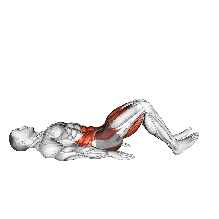 Hamstring Bridge Leg Kick (VERSION 2) exercise animation (Male)
