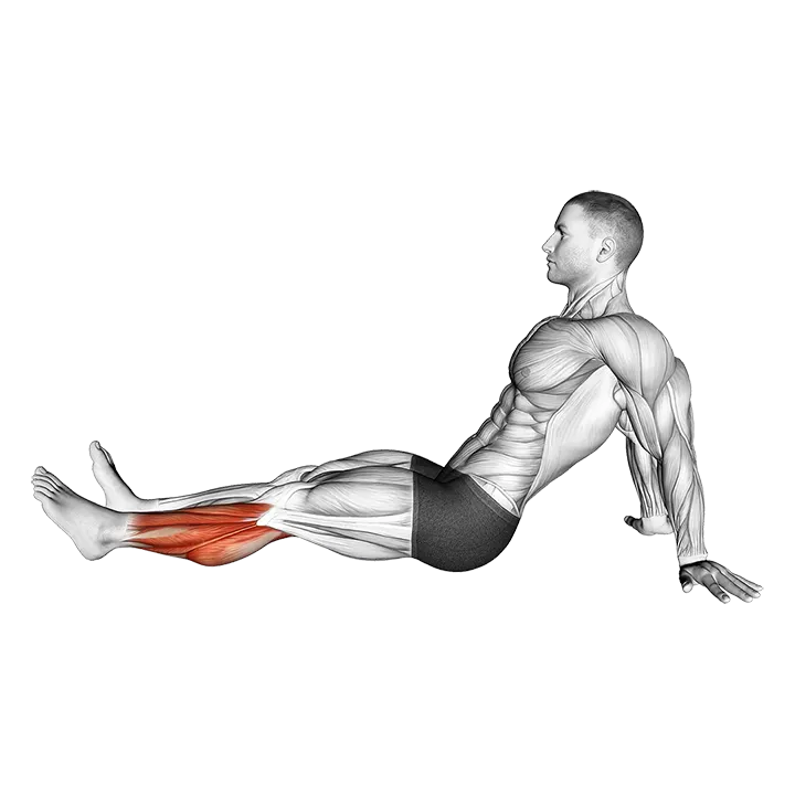 Seated Single Leg Foot Circle exercise animation (Male)