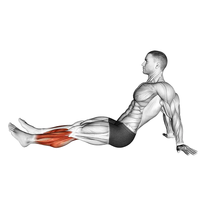 Seated Feet Circle exercise animation (Male)